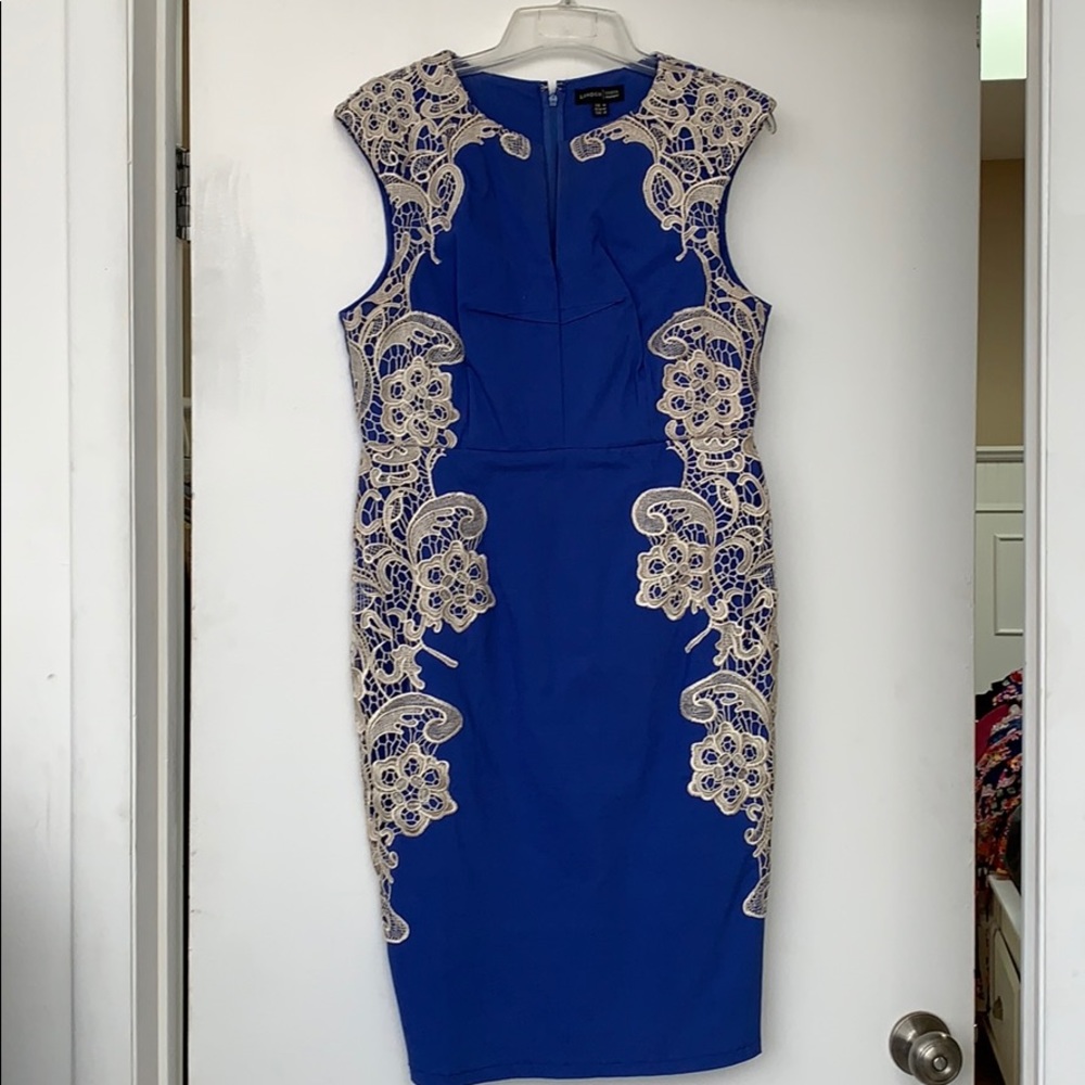 Asian inspired blue well-fitted dress.